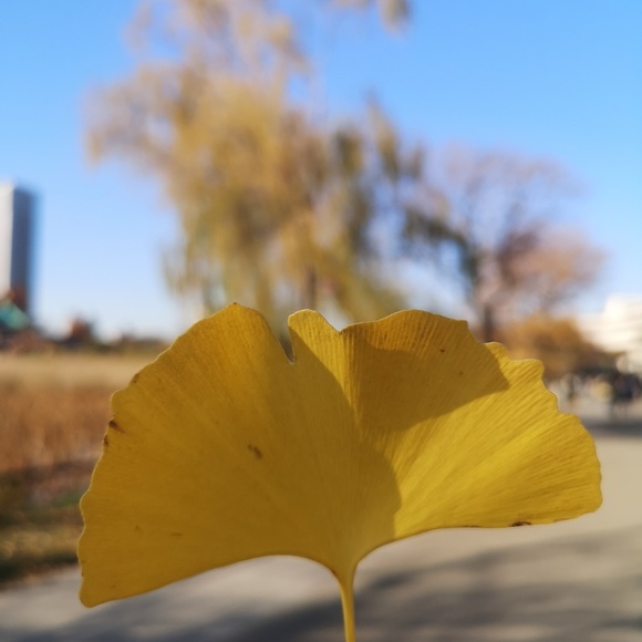 Meet your Posher, Lisa - Picture 1 of 1